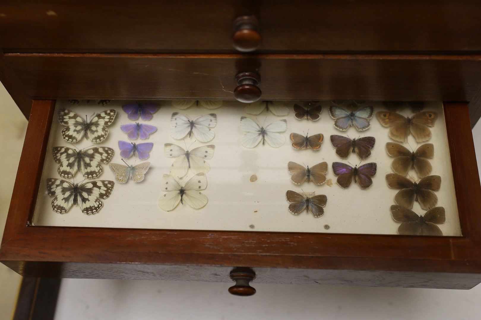 And early 20th century mahogany cabinet of UK moth and butterfly specimens, six trays together with two cased butterfly specimens and an empty display case, large cabinet 45 cms high x 39 cms wide.